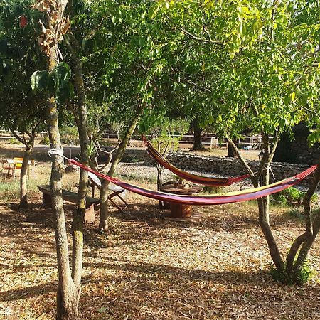 Azienda Agricola Affittacamere S'Ispinalba Di Laura Pitzolu Borore 외부 사진